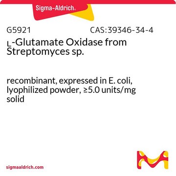 ?-Glutamate Oxidase from Streptomyces sp.