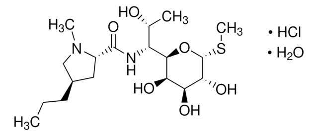 Lincomycin Hydrochloride