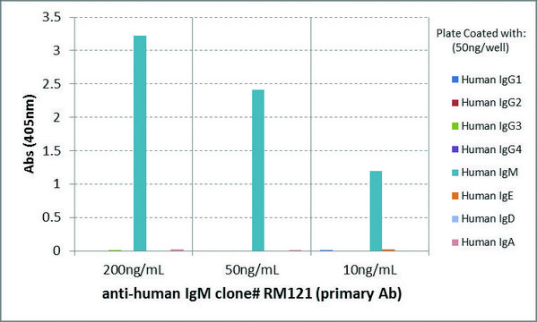 Anti-Human IgM-Biotin antibody, Rabbit monoclonal