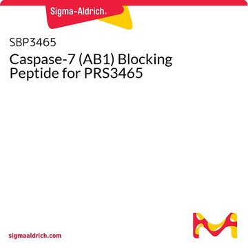 Caspase-7 (AB1) Blocking Peptide for
