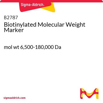 Biotinylated Molecular Weight Marker