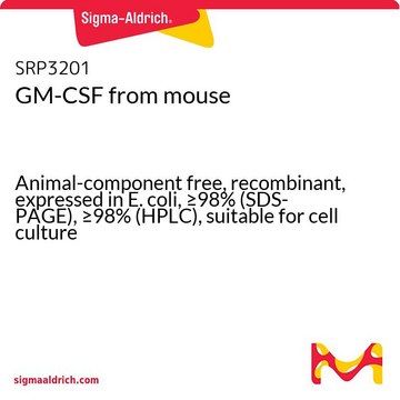 GM-CSF from mouse