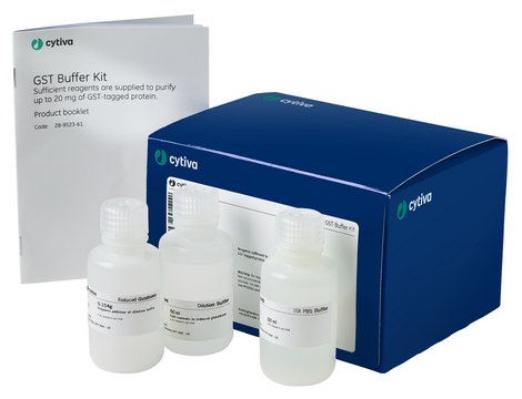 GST Buffer Kit