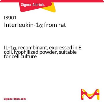Interleukin-1? from rat