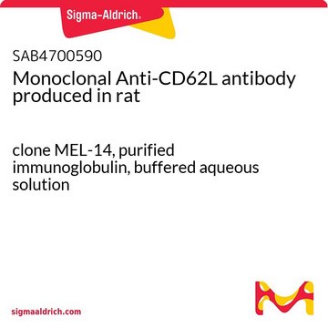 Monoclonal Anti-CD62L antibody produced in