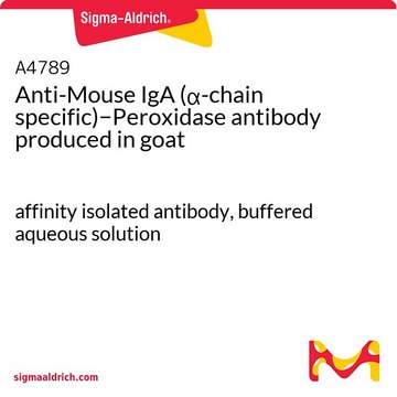 Anti-Mouse IgA (?-chain specific)?Peroxidase antibody
