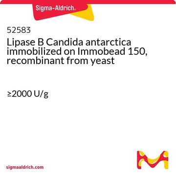 Lipase B Candida antarctica immobilized