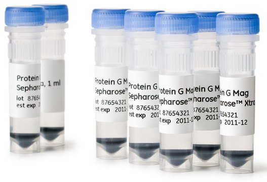 Protein G Mag Sepharose™ Xtra