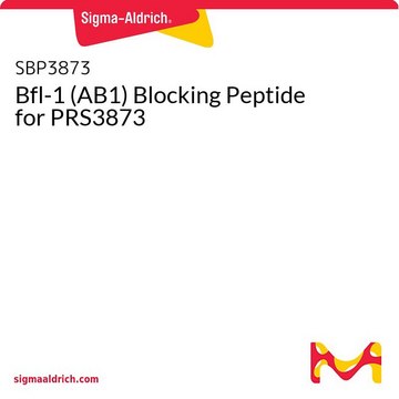 Bfl-1 (AB1) Blocking Peptide for