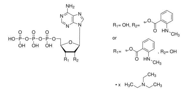 Mant-ATP triethylammonium salt solution