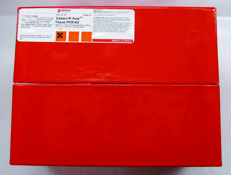 Extract-N-Amp™ Tissue PCR Kit