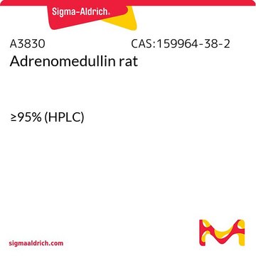 Adrenomedullin rat