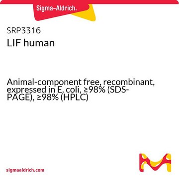 LIF human