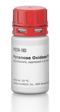 Pyranose Oxidase from Coriolus sp.