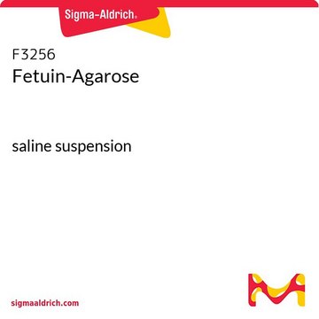 Fetuin-Agarose