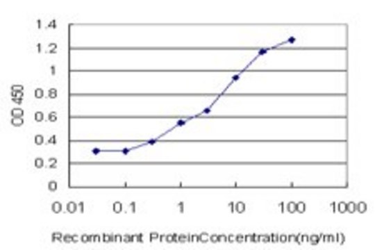 Monoclonal Anti-ANXA10 antibody produced in