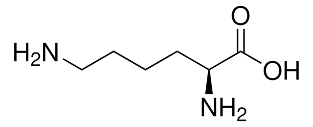 ?-Lysine