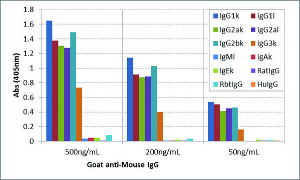 Anti-Mouse IgG antibody, Goat monoclonal