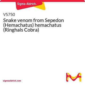 Snake venom from Sepedon (Hemachatus)