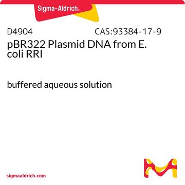 pBR322 Plasmid DNA from E.