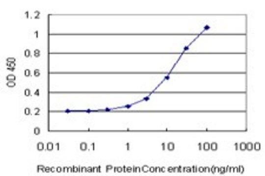 Monoclonal Anti-KCNG3 antibody produced in