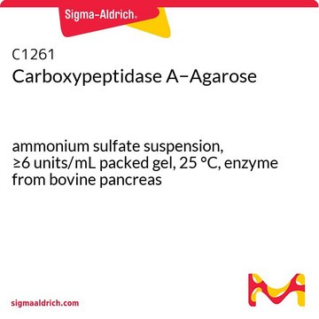 Carboxypeptidase A?Agarose