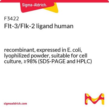 Flt-3/Flk-2 ligand human