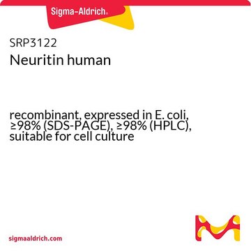 Neuritin human