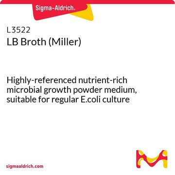 LB Broth (Miller)