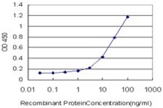 Monoclonal Anti-GDF3 antibody produced in