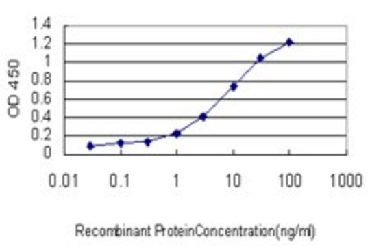 Monoclonal Anti-RORA antibody produced in