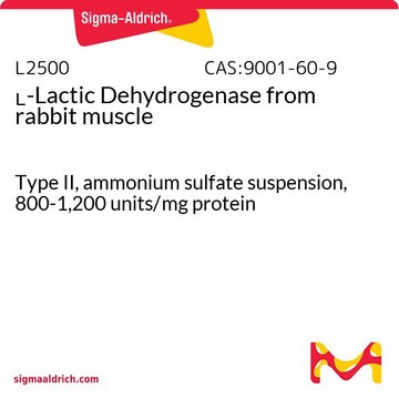 ?-Lactic Dehydrogenase from rabbit muscle
