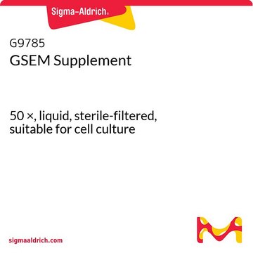 GSEM Supplement