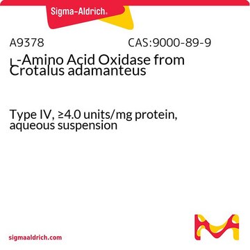 ?-Amino Acid Oxidase from Crotalus