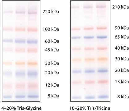 ColorBurst™ Electrophoresis Marker