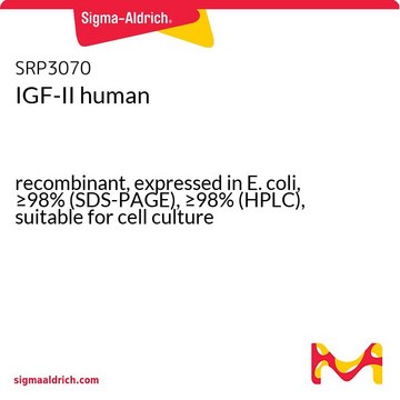 IGF-II human