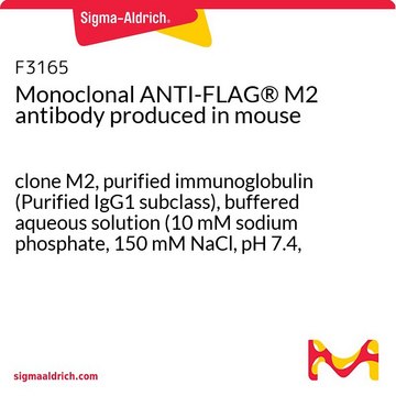 Monoclonal ANTI-FLAG® M2 antibody produced
