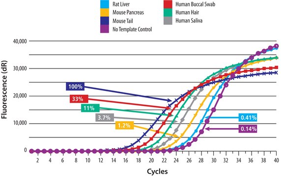 SYBR® Green Extract-N-Amp™ Tissue PCR