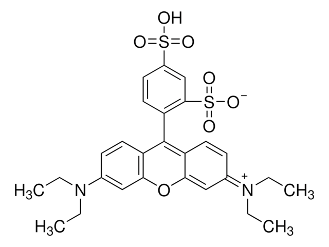 Sulforhodamine B, acid form