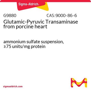 Glutamic-Pyruvic Transaminase from porcine heart