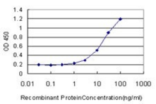 Monoclonal Anti-RAMP1 antibody produced in