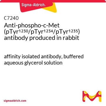 Anti-phospho-c-Met (pTyr¹²³?/pTyr¹²³?/pTyr¹²³?) antibody produced in