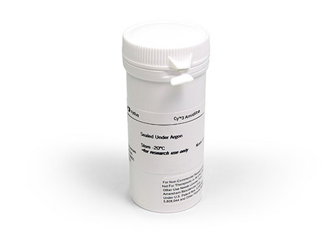 CY3 AMIDITE 100MG