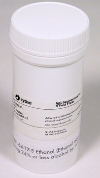 IgG Sepharose™ 6 Fast Flow