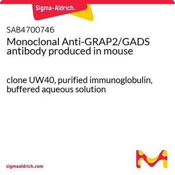 Monoclonal Anti-GRAP2/GADS antibody produced in