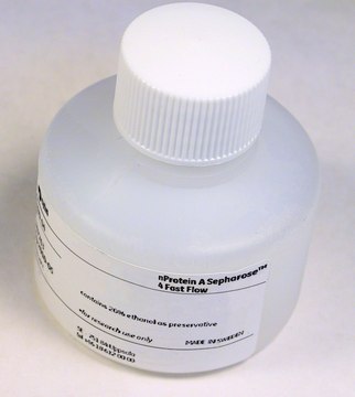 nProtein A Sepharose™ 4 Fast