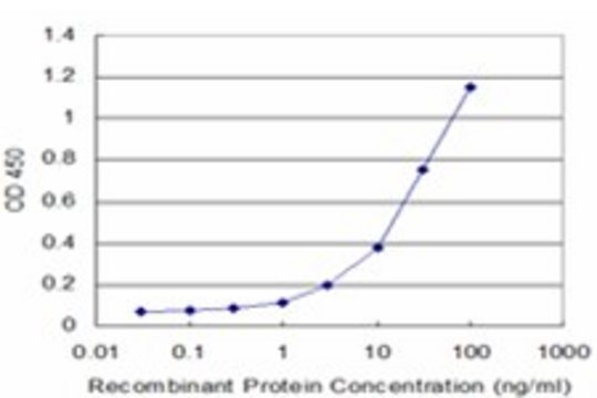 Monoclonal Anti-PLEKHM1 antibody produced in
