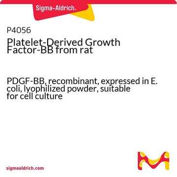Platelet-Derived Growth Factor-BB from rat