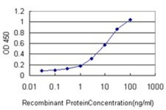 Monoclonal Anti-ZAP70 antibody produced in