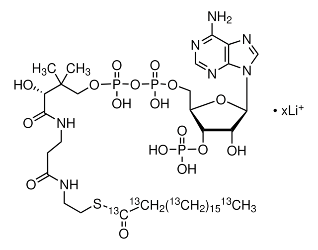 Stearoyl-¹³C?? coenzyme A lithium salt